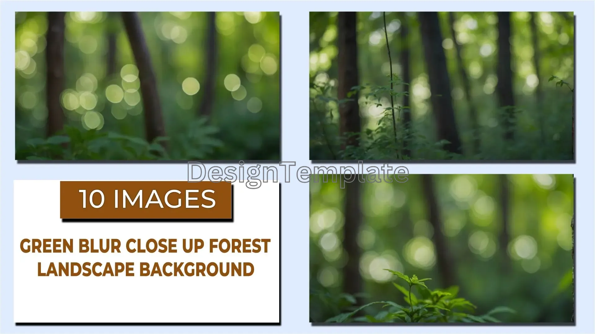 Lush Green Blur Close-Up Forest Scenery Nature Backgrounds